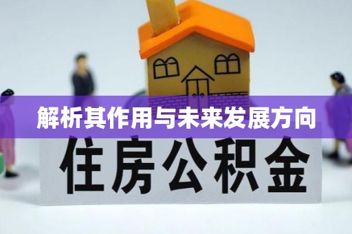 柳林解析其作用与未来发展方向