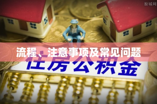 柳林流程、注意事项及常见问题