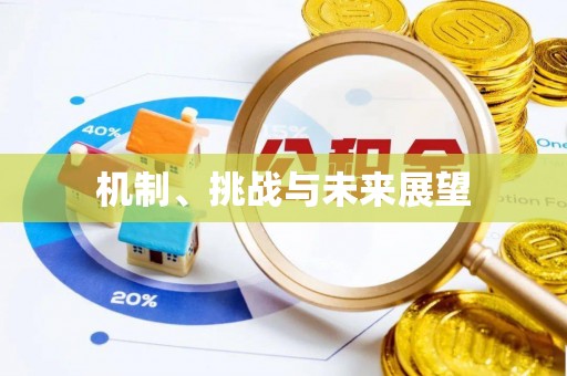 柳林机制、挑战与未来展望