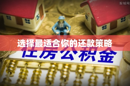 柳林选择最适合你的还款策略
