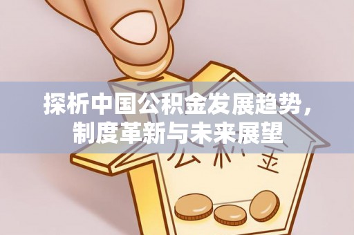 柳林探析中国公积金发展趋势，制度革新与未来展望