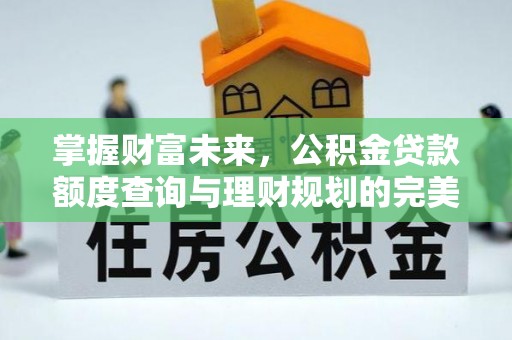 柳林掌握财富未来，公积金贷款额度查询与理财规划的完美结合