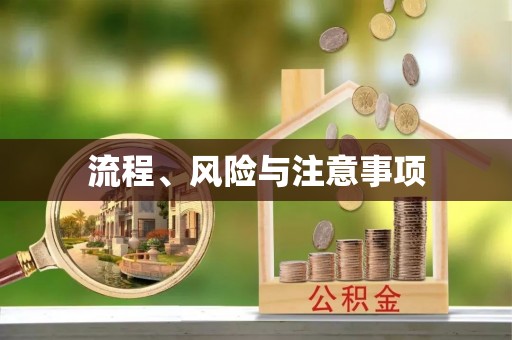 柳林流程、风险与注意事项