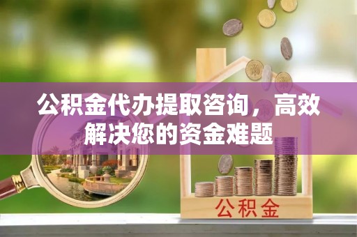 柳林公积金代办提取咨询，高效解决您的资金难题